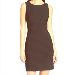 NWT Black Basket-weave Tommy Hilfiger Dress Sz 12